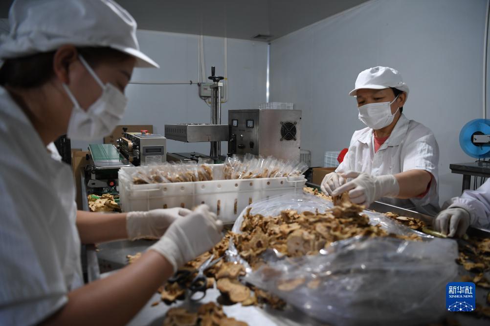 永利技巧攻略